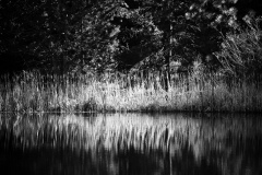 08Apr28-A-159-Edit-2
