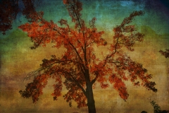 12Nov24-A-798-Edit