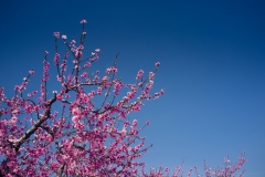 13Mar10-L-463
