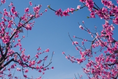 13Mar10-L-464