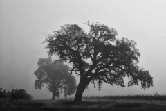 14Nov28-A-119-Edit