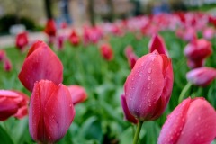 2021_0409_12490600