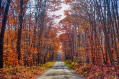 20Oct20-A-104-2-edit