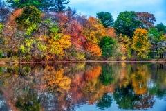 20Oct20-A-173_edit
