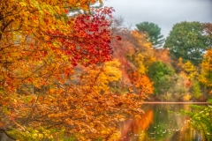 20Oct20-A-183_edit