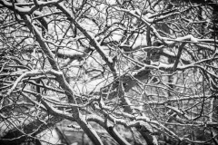 21Jan31-A-123-Enhanced