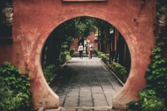 AJS_7955