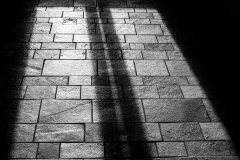 DSCF6131