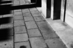 IMG_0937