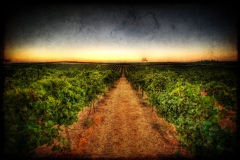 hdr_5-Edit