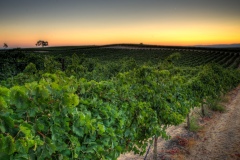 hdr_6